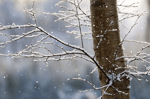 Acari siberian dhe cikloni mesdhetar sjellin reshje të dendura shiu e bore, të pakten 10 cm në zona të ulëta