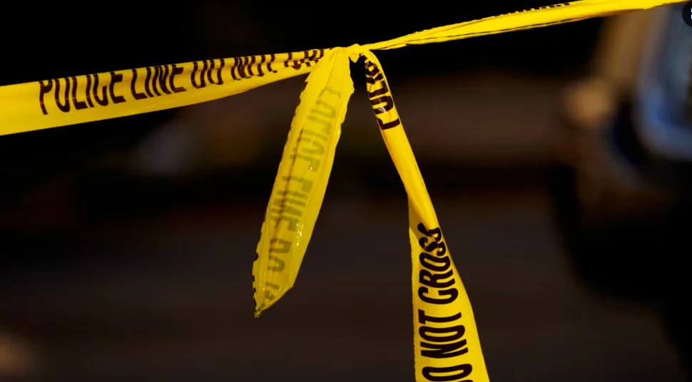 Djali vret babain dhe mban peng gruan në banesë në Gjermani